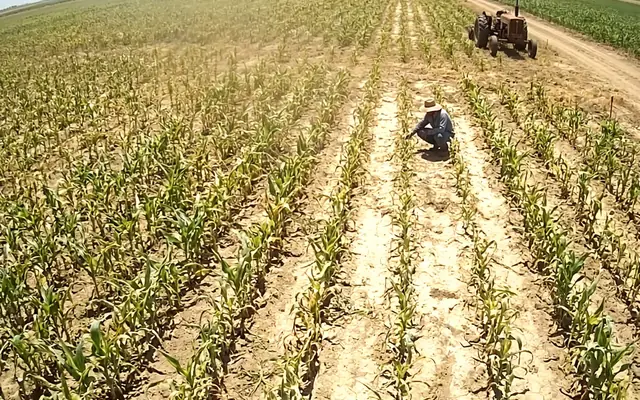 Outdoor workers under harsh midday desert sun with visible heat haze