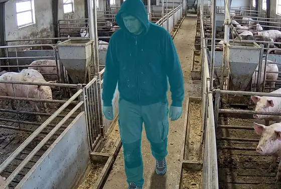 AI segmentation flagging a worker in sneakers instead of rubber boots in a livestock barn