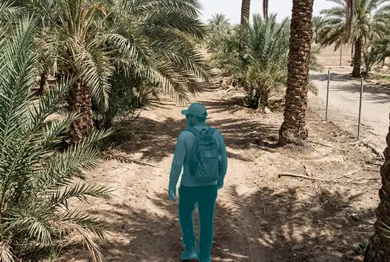 AI segmentation flagging a trespasser walking through a private date-palm grove