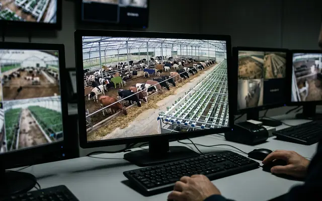 Workers on a site each outlined by a translucent segmentation mask following their silhouette