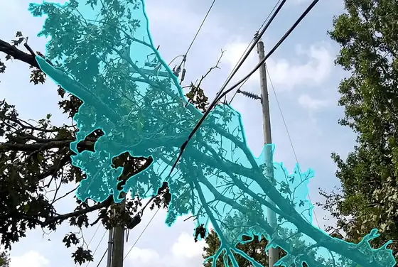 AI segmentation mask on tree branches encroaching on a power conductor