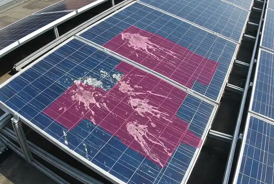AI segmentation mask on bird droppings shading a row of PV modules