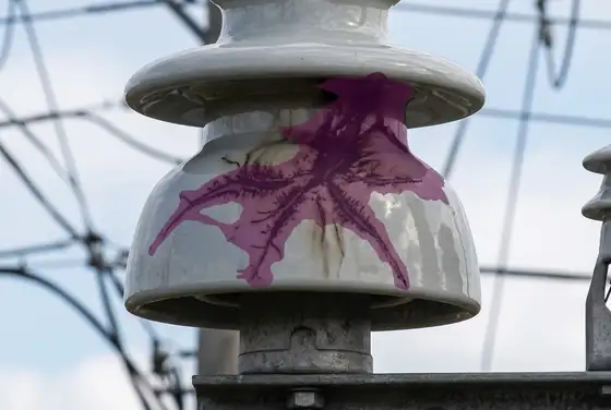 AI segmentation mask on a flashover burn mark on a porcelain insulator