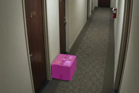 AI segmentation mask on a parcel left unattended in a residential hallway