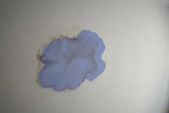 AI segmentation mask on a brown water-damage stain on a residential ceiling