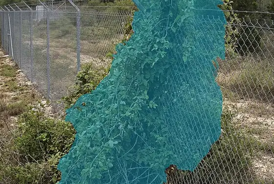 AI segmentation mask on vegetation encroaching inside a tower compound fence