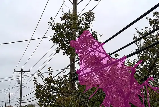 AI segmentation mask on tree branches touching overhead feeder lines