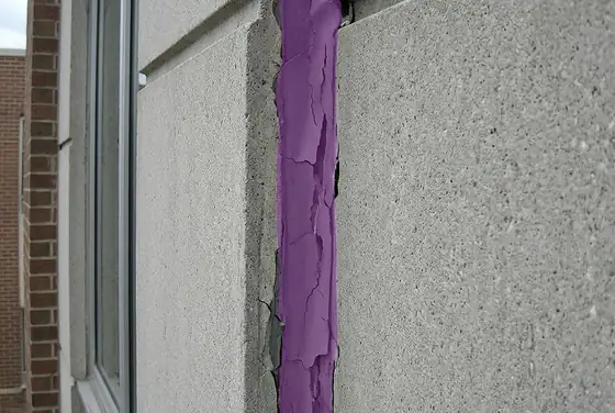 AI segmentation mask on façade sealant failure