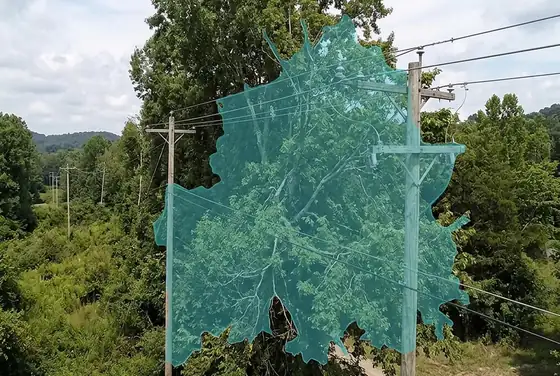 AI segmentation mask on vegetation encroaching power lines