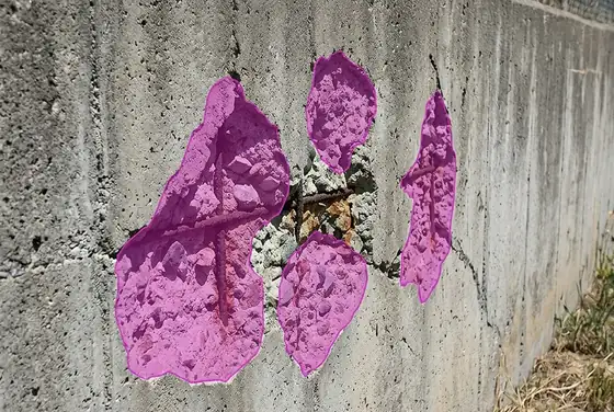 AI segmentation mask on concrete pop-outs