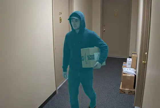 AI segmentation on a person stealing a parcel